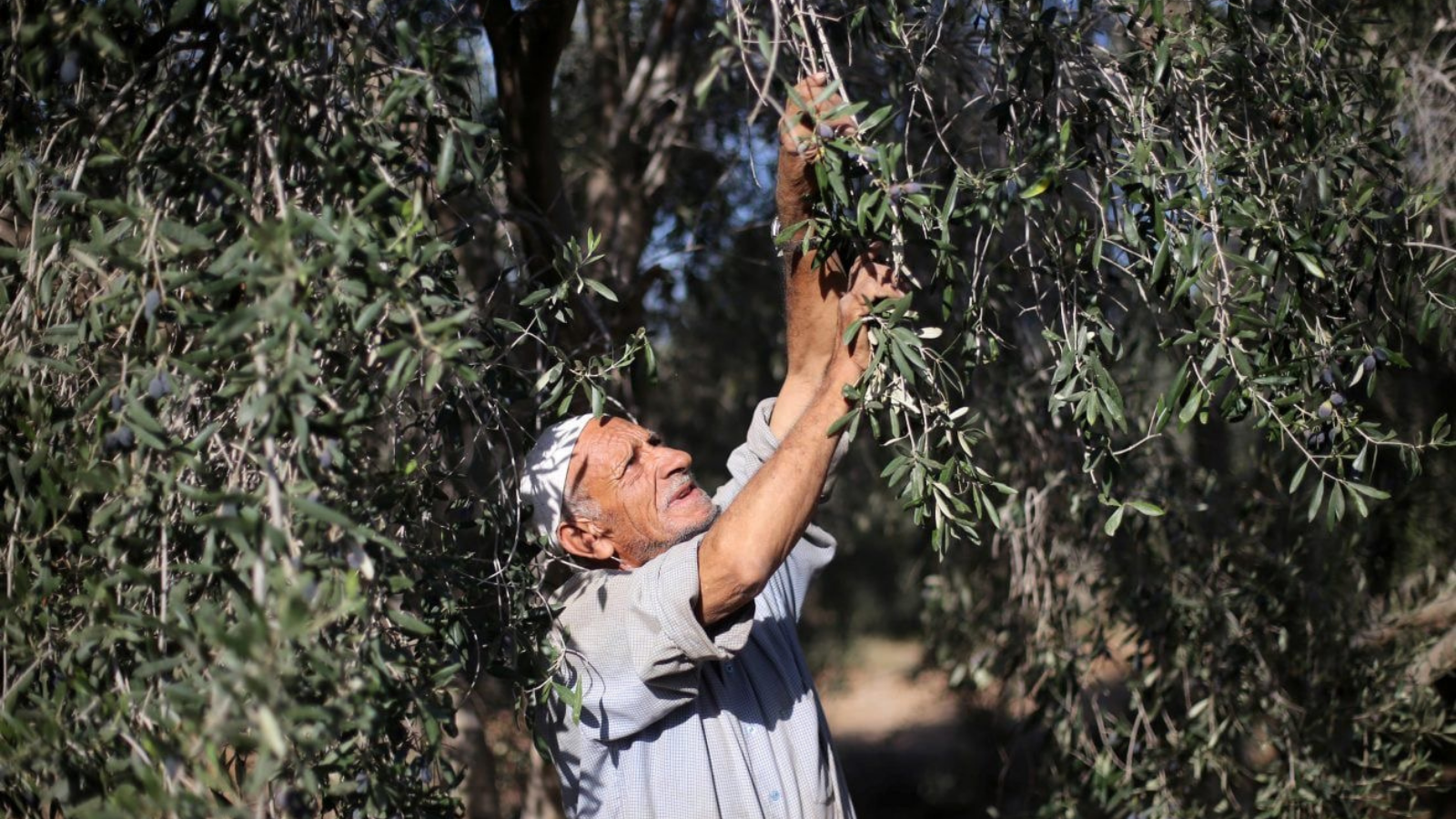 slider image slider_item_CnmB7y