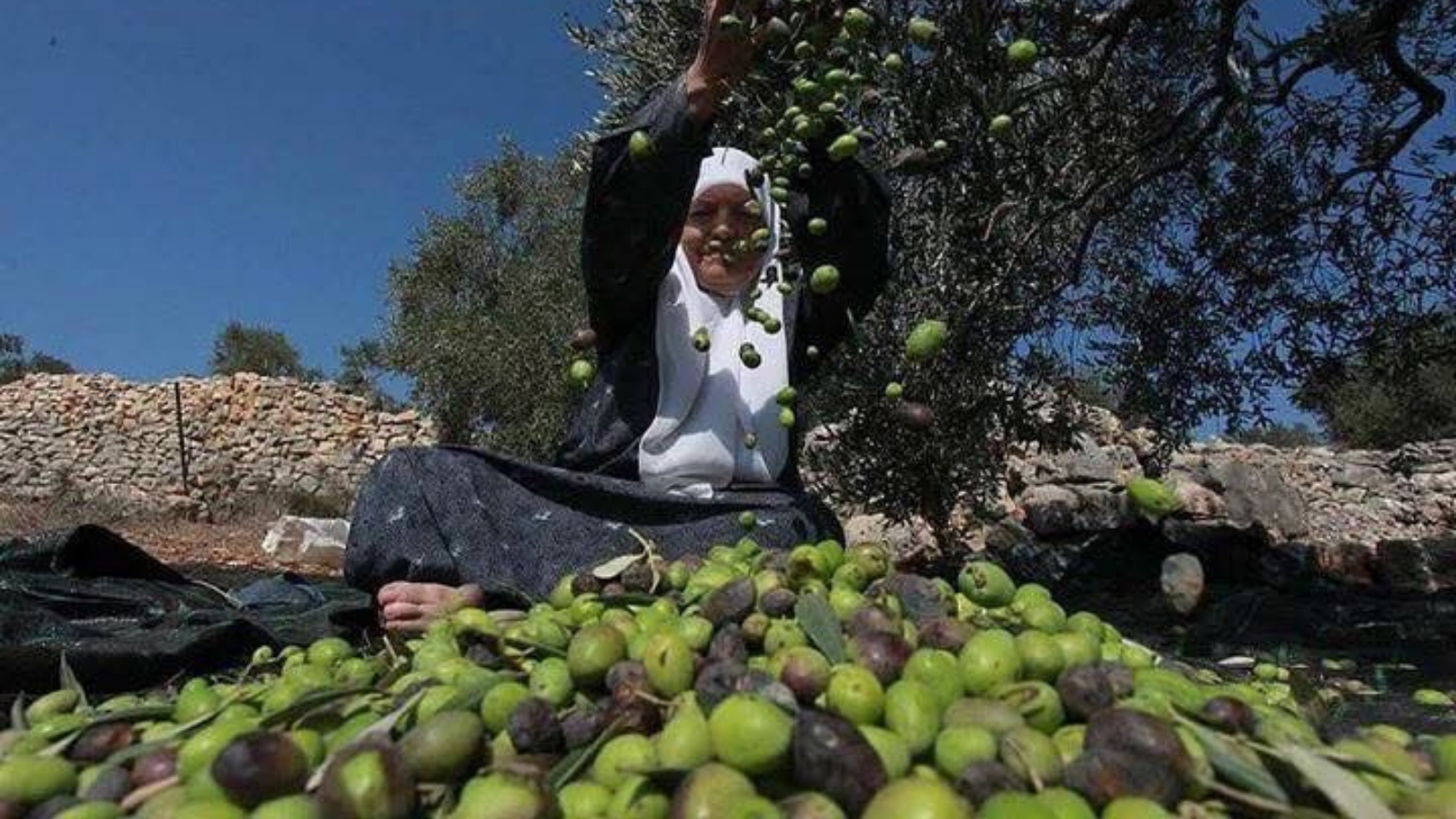 slider image slider_item_mG79Tp