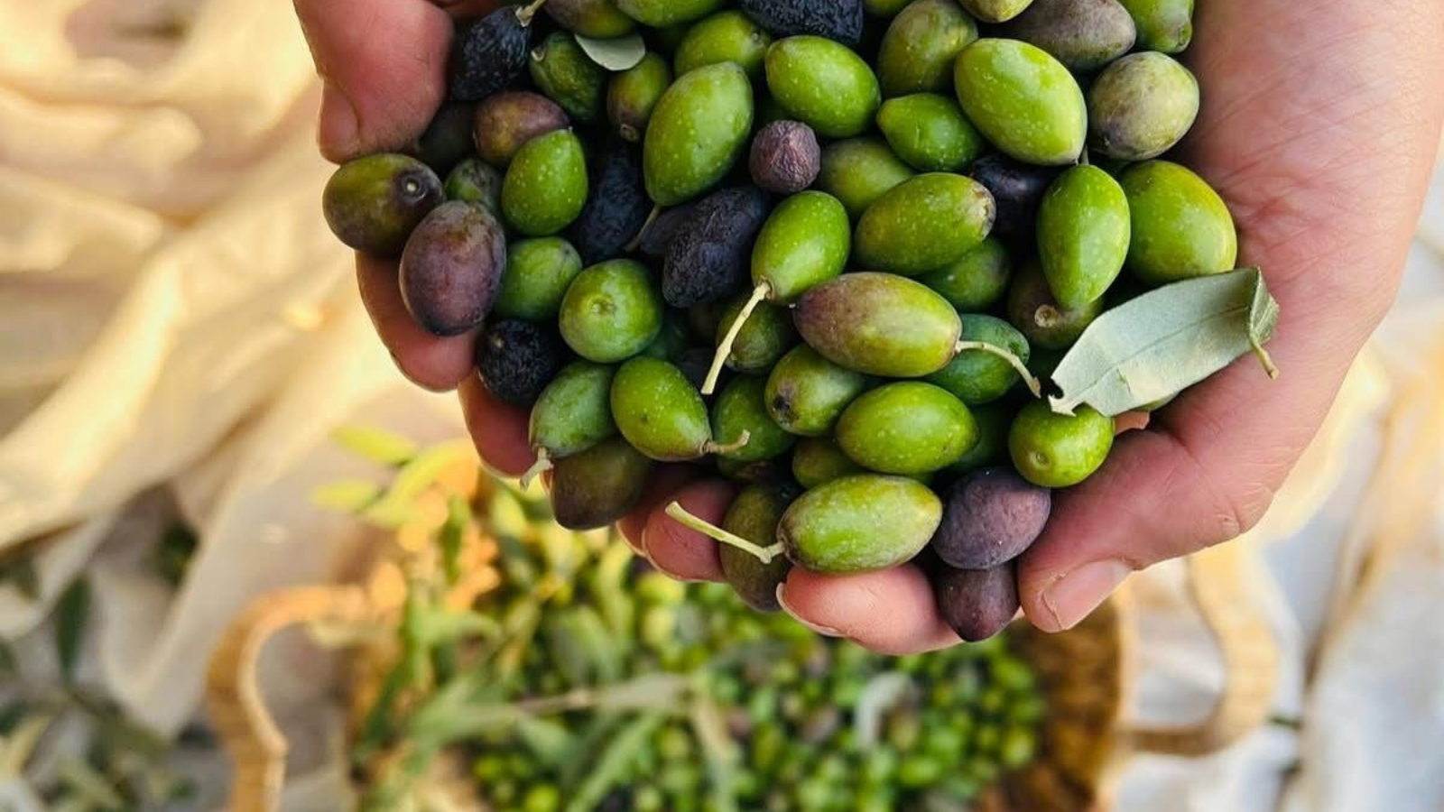 slider image slider_item_RixtA8